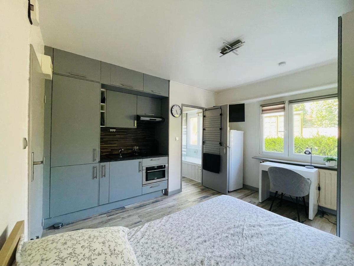 Dnn - Stylish Studio - Free Wifi, Netflix And Parking - Min Away To Basel And Airport - Dishwasher, Washing Machine Сен-Луї Екстер'єр фото