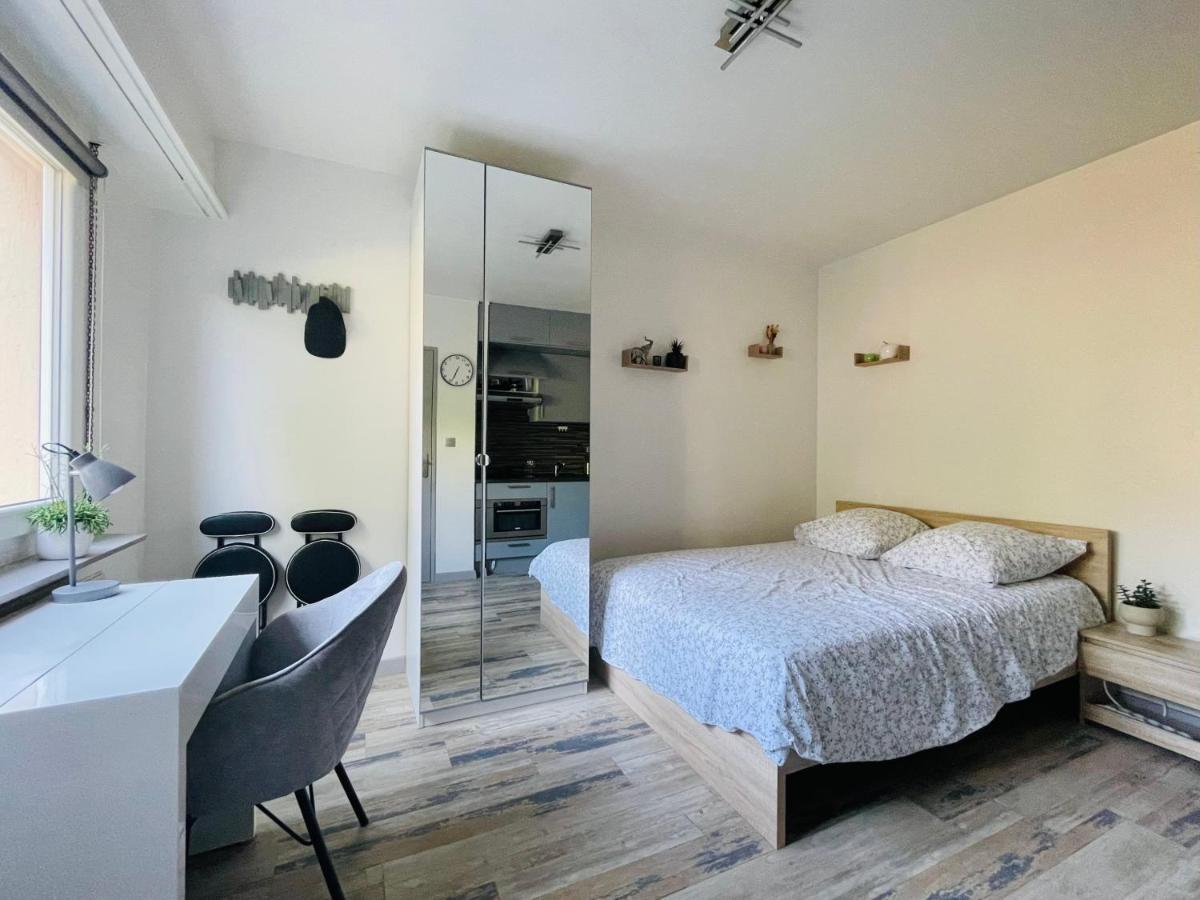 Dnn - Stylish Studio - Free Wifi, Netflix And Parking - Min Away To Basel And Airport - Dishwasher, Washing Machine Сен-Луї Екстер'єр фото