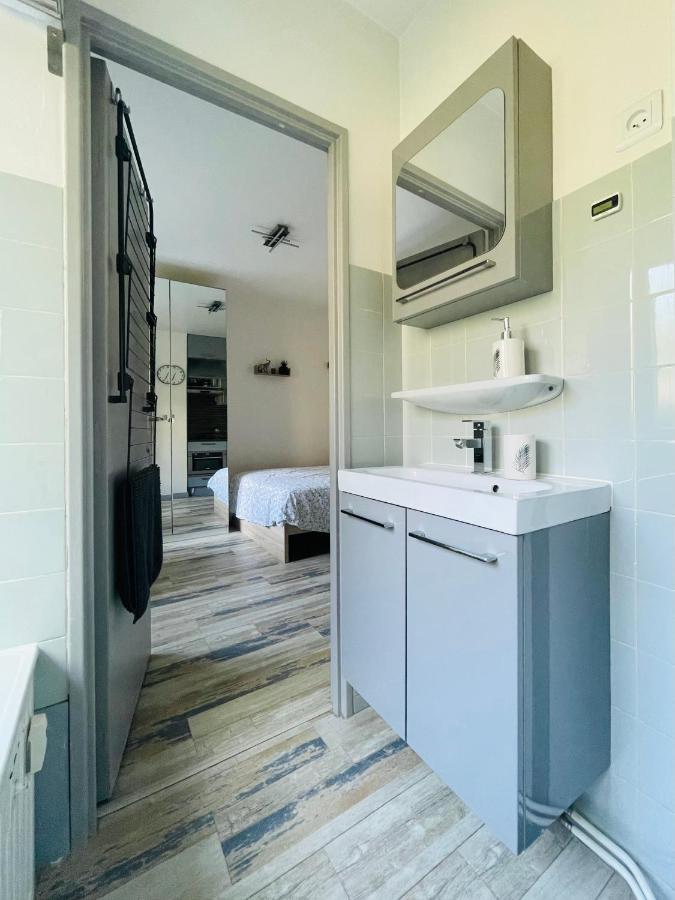 Dnn - Stylish Studio - Free Wifi, Netflix And Parking - Min Away To Basel And Airport - Dishwasher, Washing Machine Сен-Луї Екстер'єр фото