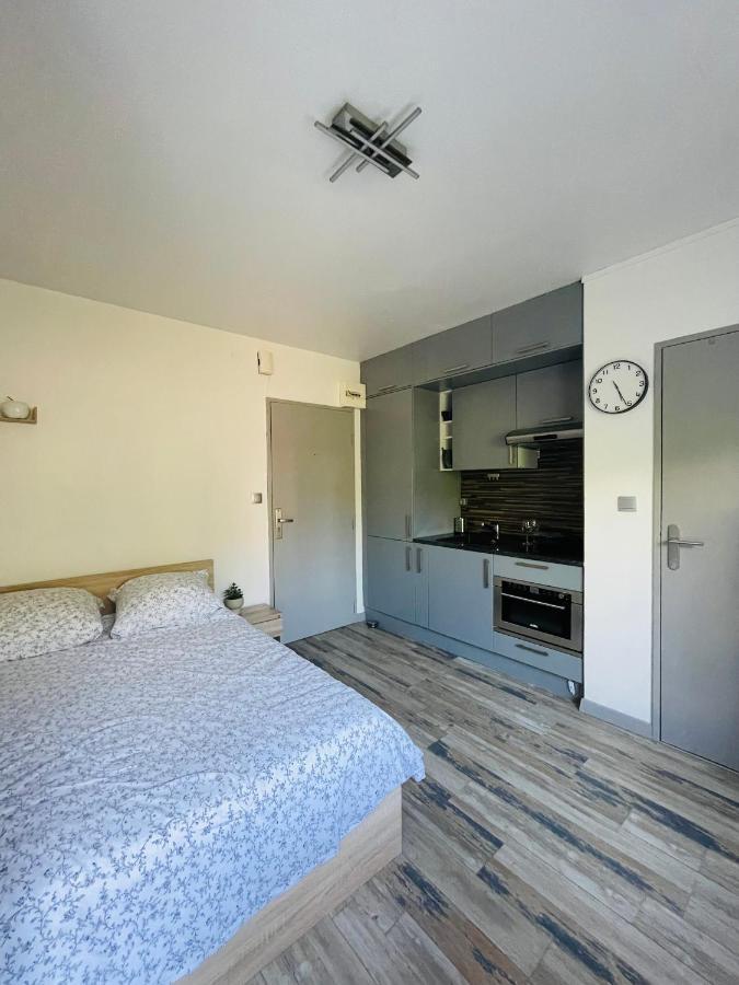 Dnn - Stylish Studio - Free Wifi, Netflix And Parking - Min Away To Basel And Airport - Dishwasher, Washing Machine Сен-Луї Екстер'єр фото